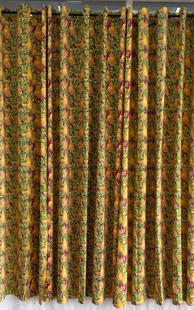 CURTAIN WITH RINGS