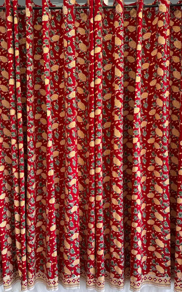 CURTAIN WITH RINGS
