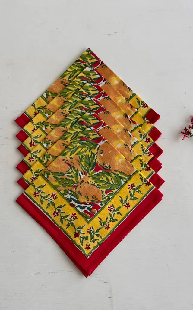 NAPKIN - SET OF 6
